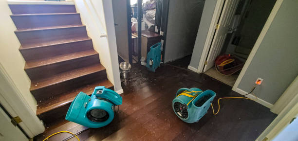 Best Water damage restoration insurance claims  in Oshkosh, WI