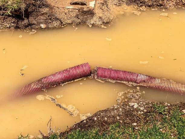 Best Flood damage cleanup  in Oshkosh, WI