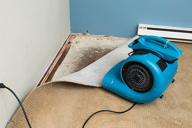 Best Water damage contractors near me  in Oshkosh, WI